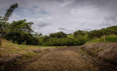 LOTE CAMPESTRE EN VENTA – CARTAGO, VALLE