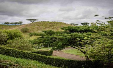 LOTE CAMPESTRE EN VENTA – CARTAGO, VALLE