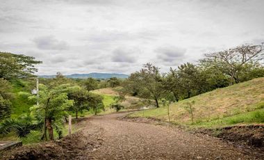 LOTE CAMPESTRE EN VENTA – CARTAGO, VALLE