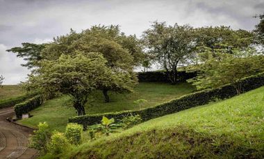 LOTE CAMPESTRE EN VENTA – CARTAGO, VALLE