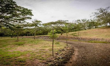 LOTE CAMPESTRE EN VENTA – CARTAGO, VALLE