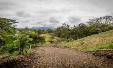 LOTE CAMPESTRE EN VENTA – CARTAGO, VALLE