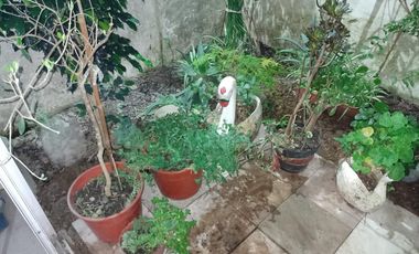 PH en venta - 1 Dormitorio 1 Baño - La Plata