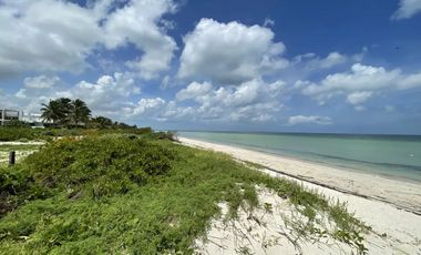 Terreno de 500 m2 en venta en San Benito