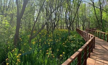 Departamento - Venice Tigre