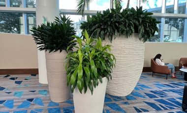 Edificio de Oficinas en VENTA, ubicadas en Ciudad Satélite Cod. OV326