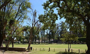 Casa en renta en Rancho Contento