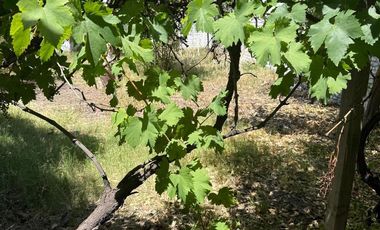 Casa de 2 dormitorios carca de centro de Neuquén