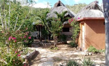 4 Increíbles Hectáreas con Vistas al Mar en Mazunte, Oaxaca