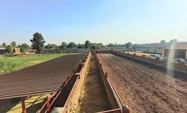 RANCHO EN VENTA LAS PALMAS SANTA ANA, NEXTLALPAN  Sup.: 8,600 m2 ( Escriturado)