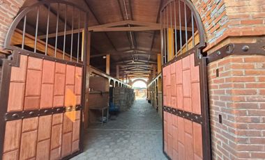 RANCHO EN VENTA LAS PALMAS SANTA ANA, NEXTLALPAN  Sup.: 8,600 m2 ( Escriturado)