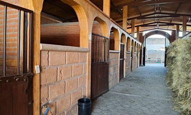 RANCHO EN VENTA LAS PALMAS SANTA ANA, NEXTLALPAN  Sup.: 8,600 m2 ( Escriturado)