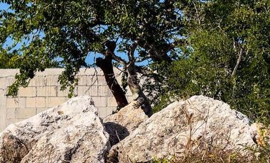 Casa en Telchac Puerto