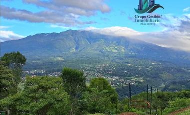 VENDO UNA HECTAREA + 2000MTS CON CONCESION DE AGUA