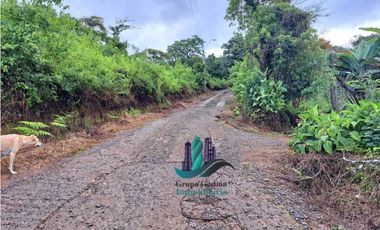 VENDO UNA HECTAREA + 2000MTS CON CONCESION DE AGUA