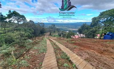 VENDO UNA HECTAREA + 2000MTS CON CONCESION DE AGUA