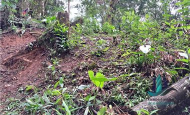 VENDO UNA HECTAREA + 2000MTS CON CONCESION DE AGUA