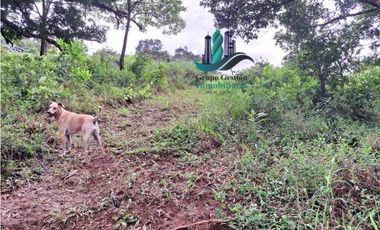 VENDO UNA HECTAREA + 2000MTS CON CONCESION DE AGUA