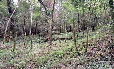 VENDO UNA HECTAREA + 2000MTS CON CONCESION DE AGUA