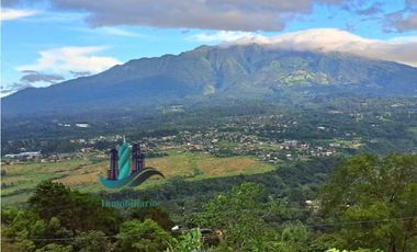 VENDO UNA HECTAREA + 2000MTS CON CONCESION DE AGUA