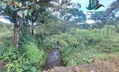 VENDO UNA HECTAREA + 2000MTS CON CONCESION DE AGUA