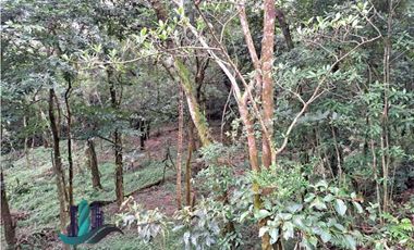 VENDO UNA HECTAREA + 2000MTS CON CONCESION DE AGUA