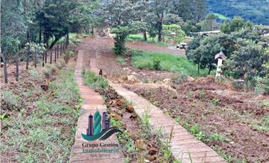 VENDO UNA HECTAREA + 2000MTS CON CONCESION DE AGUA