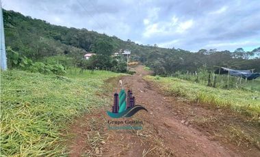 VENDO UNA HECTAREA + 2000MTS CON CONCESION DE AGUA