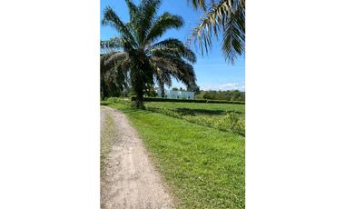 VENTA FINCA CON CASA CAMPESTRE  VDA . LOS MEDIOS RESTREPO-META