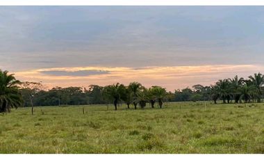 VENTA FINCA CON CASA CAMPESTRE  VDA . LOS MEDIOS RESTREPO-META
