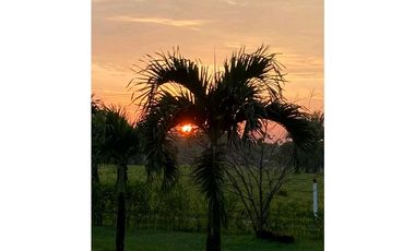 VENTA FINCA CON CASA CAMPESTRE  VDA . LOS MEDIOS RESTREPO-META