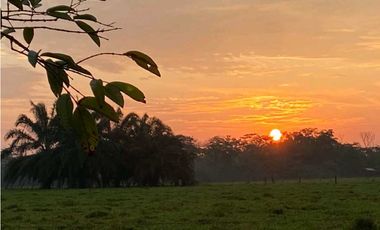 VENTA FINCA CON CASA CAMPESTRE  VDA . LOS MEDIOS RESTREPO-META