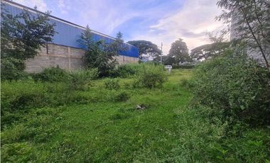 Lote independiente Parcelación Industrial La Dolores entrando a Cali