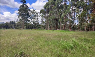 venta Lote Comercial de 14.350 m² en el Corazón de Llanogrande SM