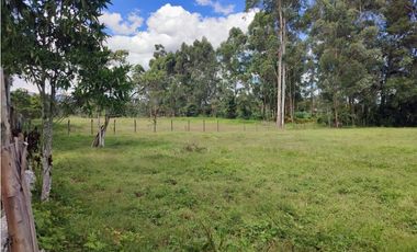 venta Lote Comercial de 14.350 m² en el Corazón de Llanogrande SM