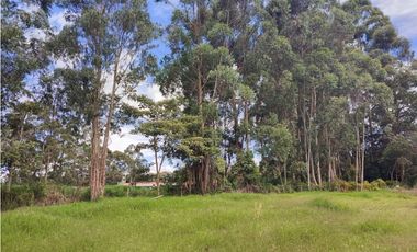 venta Lote Comercial de 14.350 m² en el Corazón de Llanogrande SM