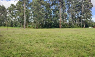 venta Lote Comercial de 14.350 m² en el Corazón de Llanogrande SM