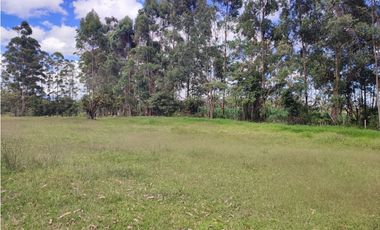 venta Lote Comercial de 14.350 m² en el Corazón de Llanogrande SM