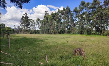 venta Lote Comercial de 14.350 m² en el Corazón de Llanogrande SM