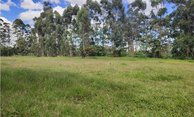 venta Lote Comercial de 14.350 m² en el Corazón de Llanogrande SM