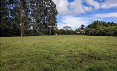 venta Lote Comercial de 14.350 m² en el Corazón de Llanogrande SM