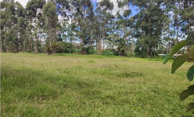 venta Lote Comercial de 14.350 m² en el Corazón de Llanogrande SM