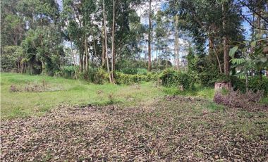 venta Lote Comercial de 14.350 m² en el Corazón de Llanogrande SM