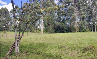 venta Lote Comercial de 14.350 m² en el Corazón de Llanogrande SM