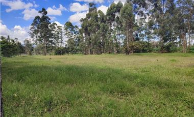 venta Lote Comercial de 14.350 m² en el Corazón de Llanogrande SM