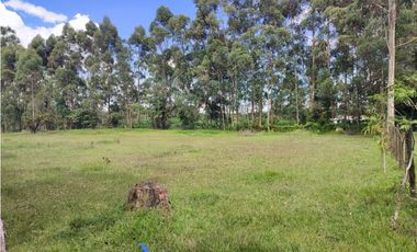 venta Lote Comercial de 14.350 m² en el Corazón de Llanogrande SM