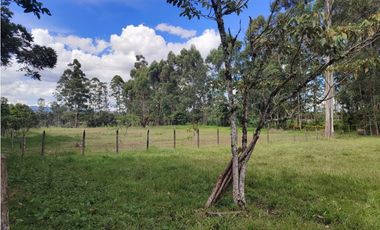 venta Lote Comercial de 14.350 m² en el Corazón de Llanogrande SM