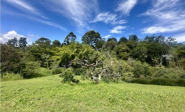 Venta de Lote En El Carmen de Viboral Quirama