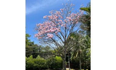 Casa finca campestre en venta sector el Yarumo vía San Antonio la ceja