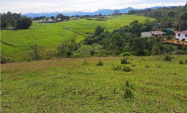 VENTA 7 HECTAREAS MESA DE LOS SANTOS MERCADO CAMPESINO COD:1109